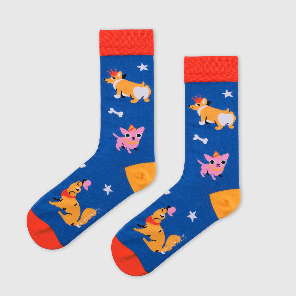 Dogsters by Lucas Wakamatsu 🐶 🎉 🐕